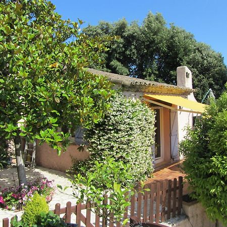 Studio Chez Charles Et Marie, Independant De La Maison, Acces Piscine, Tres Calme, Roquefort Les Pins Dış mekan fotoğraf
